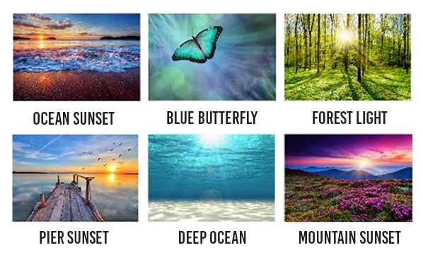 Scatter Urns Designs